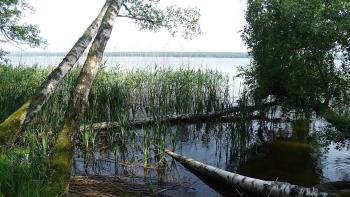 am Sarbsker See (Jezioro Sarbsko)