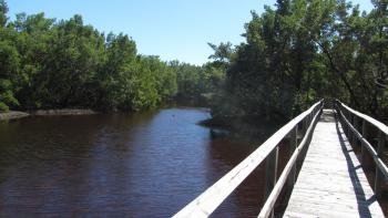 Bosque Estatal De Aguirre