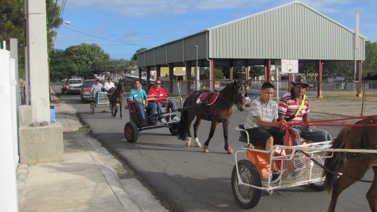 Kutschenausfahrt in La Parguera