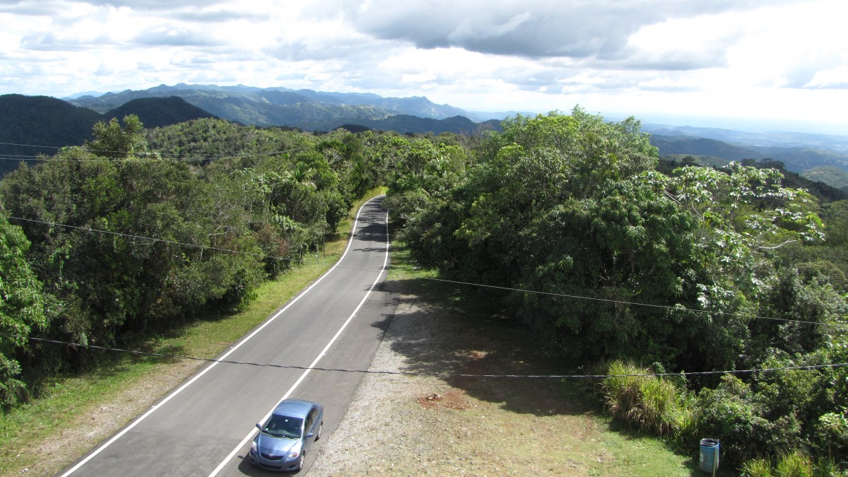 Routa Panoramico