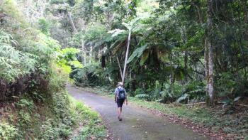 Suche nach der Salto Curet