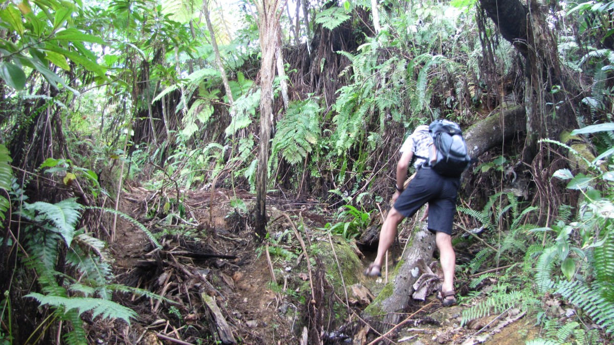 Suche nach der Salto Curet- Irrweg