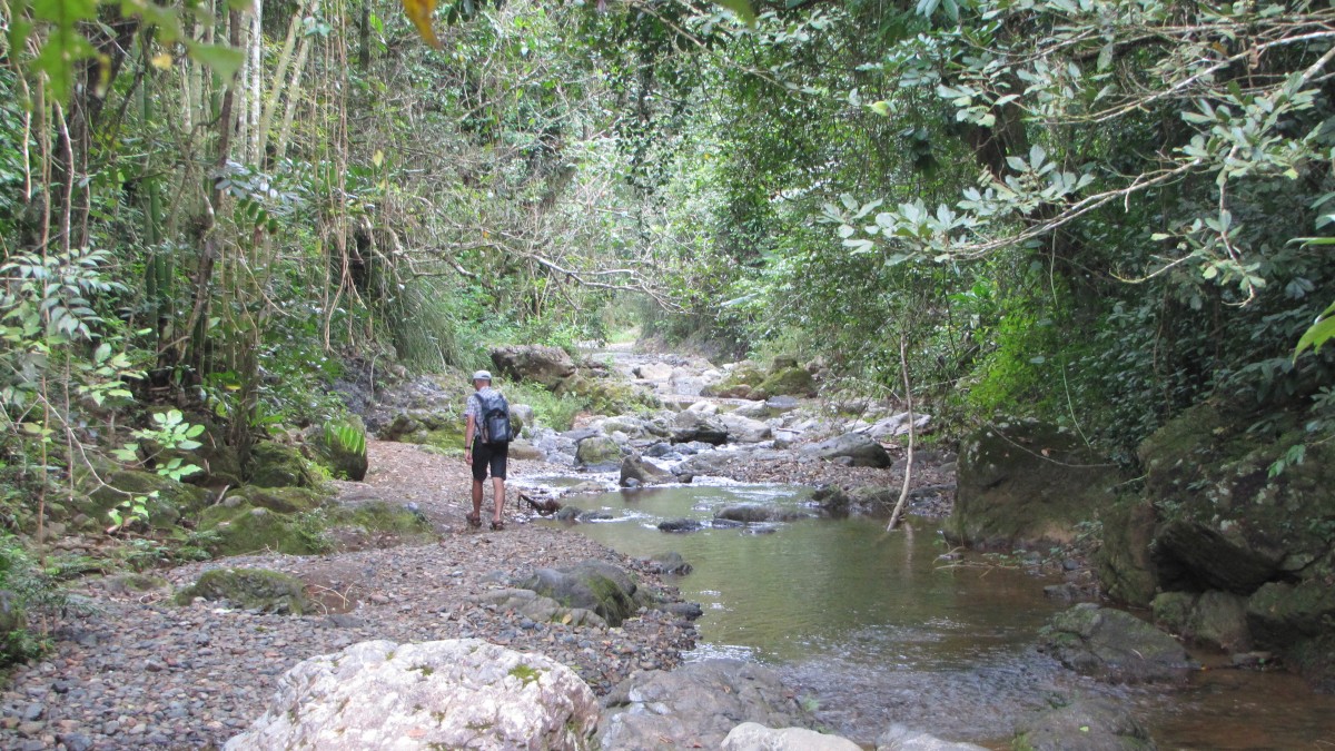 Salto Curet  Rückweg