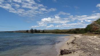 Strandabschnitt im Bosque Estatal De Guánica