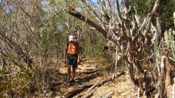 Bosque Estatal De Guánica - sehr trocken