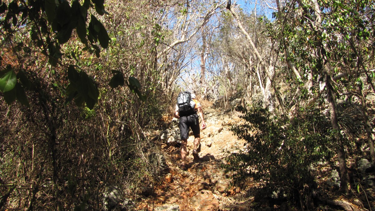 Bosque Estatal De Guánica