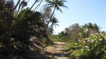 Wanderweg an der Küste bei Rincón