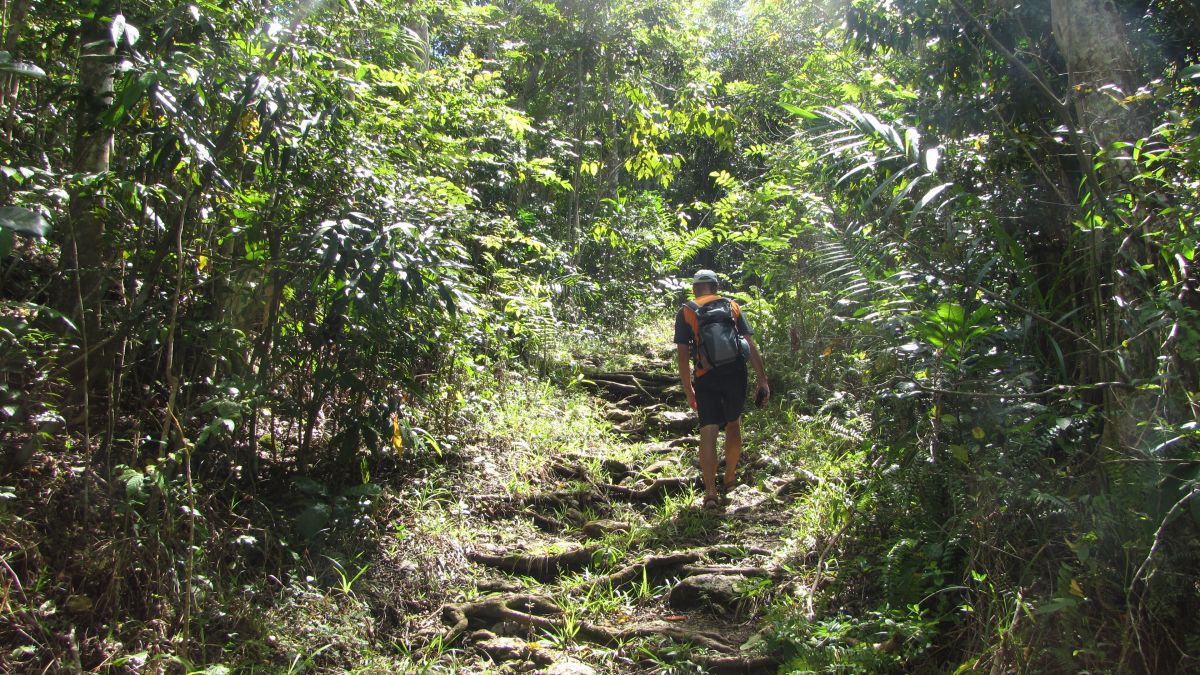 Wanderung um die Hacienda El Jibarito