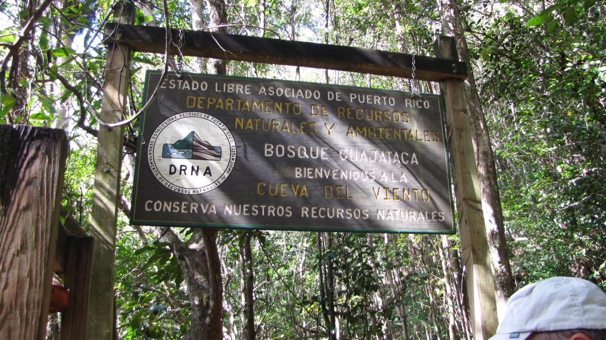 Cueva del Viento