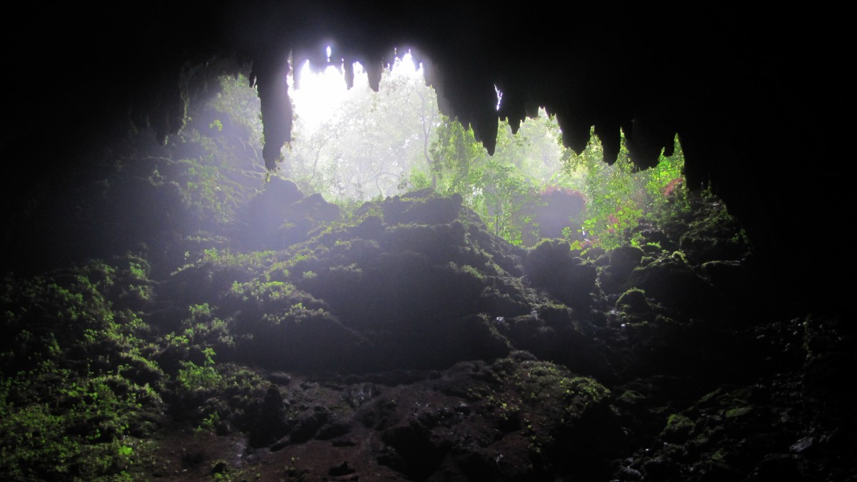 Rio Camuy Cave