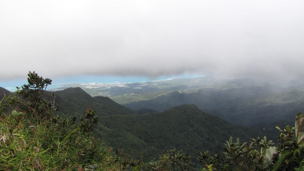 in den Wolken, Blick zur sonnigen Nordostküste Puerto Ricos