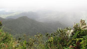 Blick zur sonnigen Nordostküste Puerto Ricos