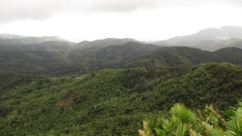 Auf dem Gipfel des Monte El Junque, 1055 Meter