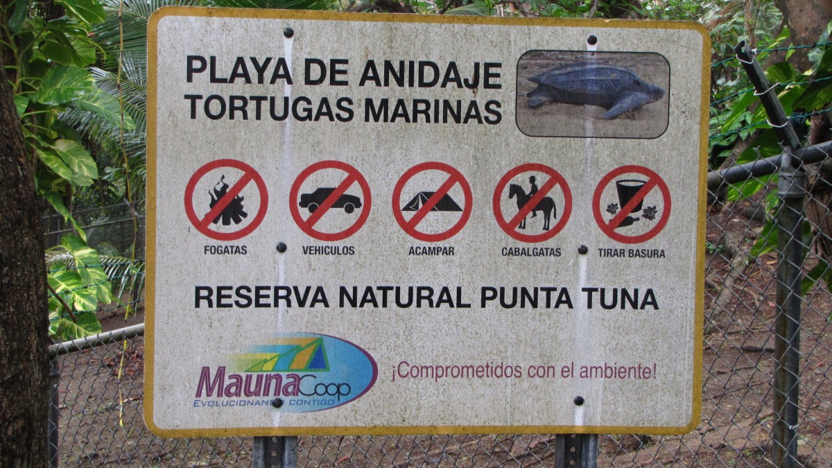 Punta Tuna