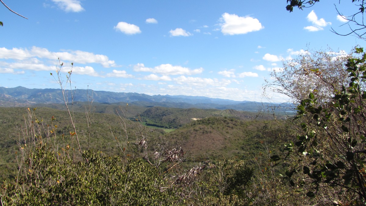Ausguck im Bosque Estatal De Guánica