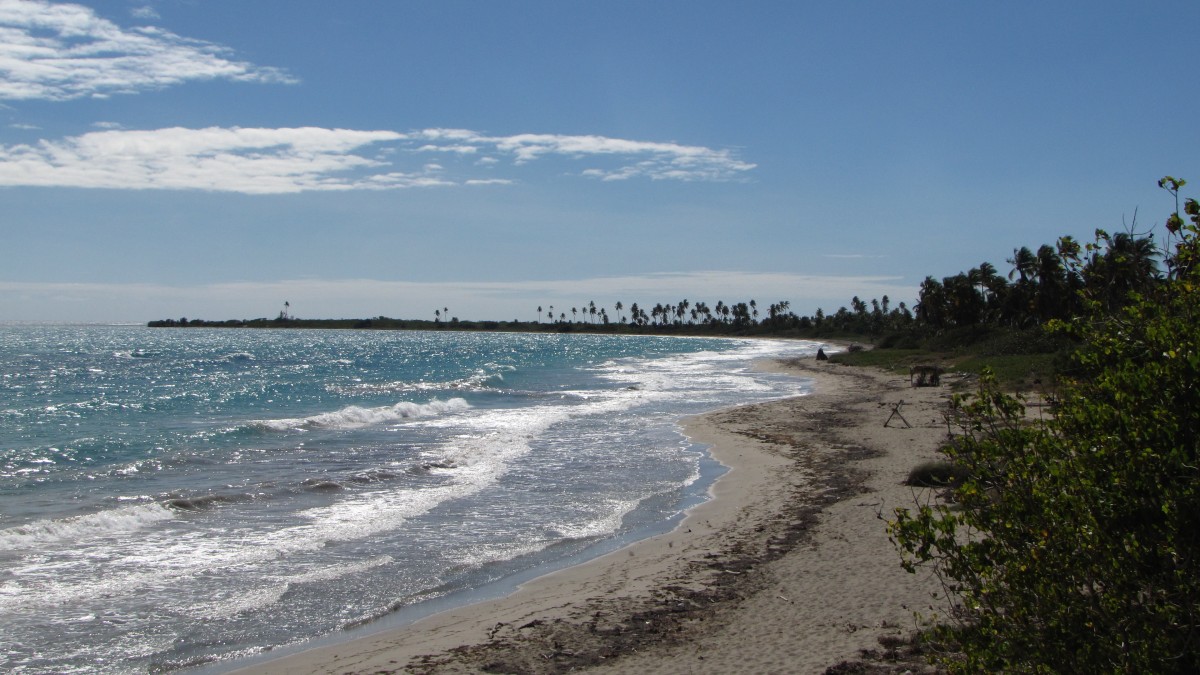 Strandabschnitt im Bosque Estatal De Guánica