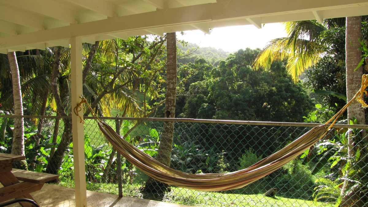 Auf der Terasse des Ceiba Country Inn mit Blick in den Garten