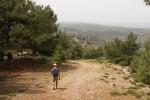Wanderung auf Forststraßen bei Psinthos