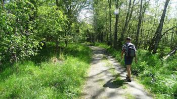 Wanderung zum östlichen Landzipfel