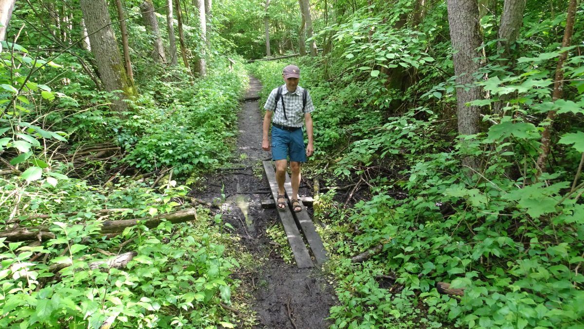 Wanderung bei Frösviken