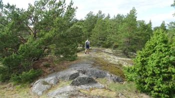 Aussichtspunkt Kvarnberget