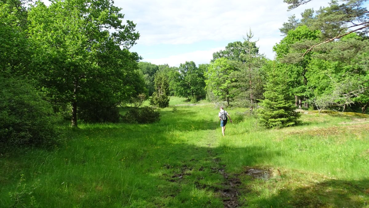 Wanderung bei Frösviken