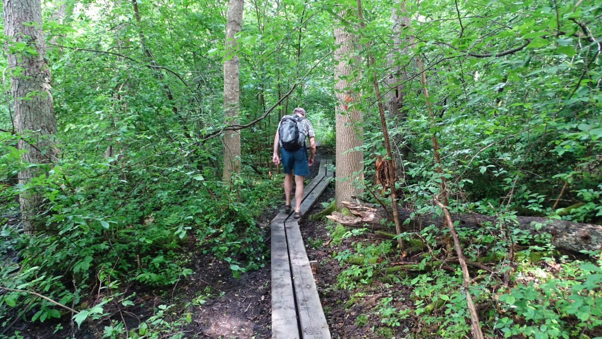 Wanderung bei Frösviken