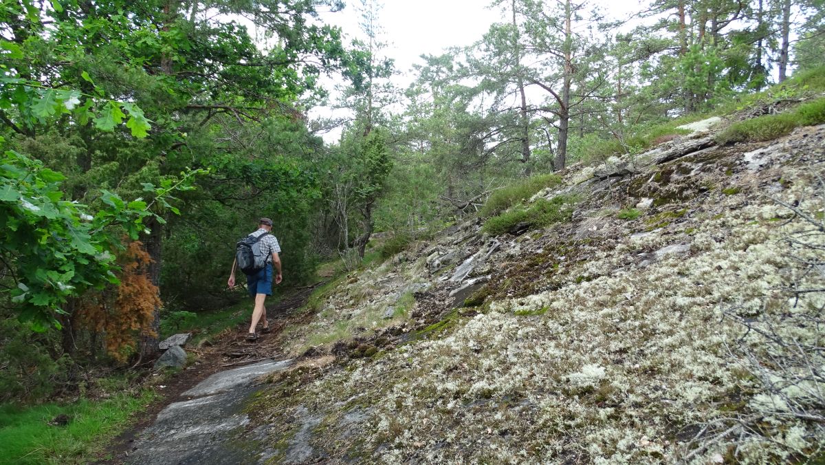 Wanderung bei Frösviken