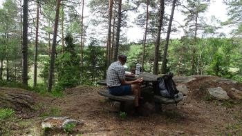 Picknick am Mysslingan-See