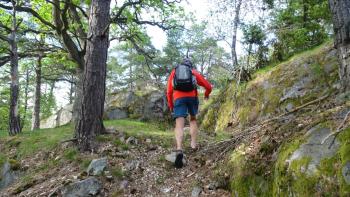 Wanderung zum Aussichtspunkt Näsudden