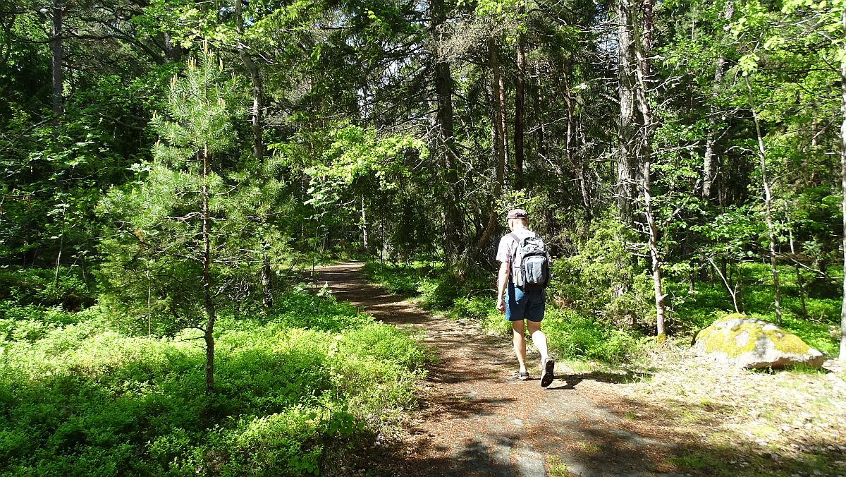 Wanderung im Östra Lagnö Naturreservat