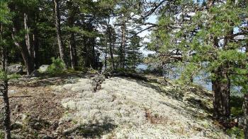 Wanderung im Östra Lagnö Naturreservat