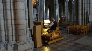 Im Dom, Orgelspieler