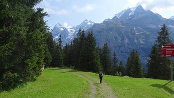 Was für ein Blick, nun ist auch die Jungfrau wolkenfrei