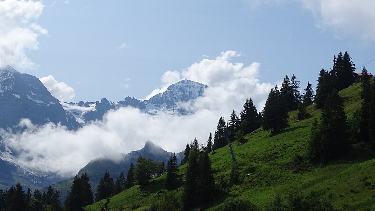 Großhorn oder Breithorn