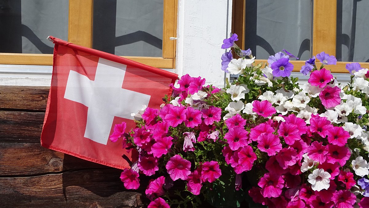 Balkonbepflanzung in Mürren