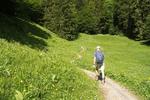 Weg zur Hochalb 