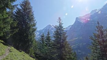 blauer Himmel und Gletschereis (in der Ferne)