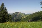 Weg zur Hochalb