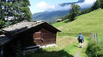 Alm oberhalb von Wengen