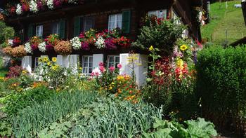 herrlich geschmücktes Haus mit Bauerngarten