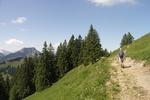 Weg zur Hochalb