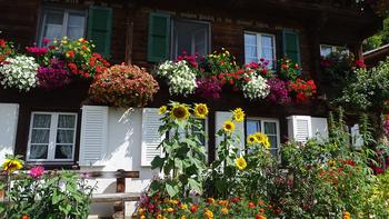 herrlich geschmücktes Haus mit Bauerngarten