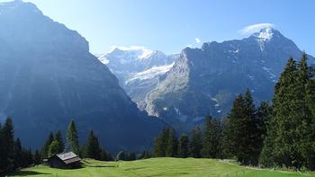 Almen oberhalb von Grindelwald