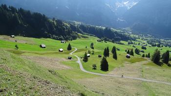 Almen oberhalb von Grindelwald