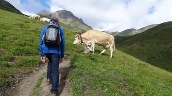 Bort- Waldspitz- Bachalpsee- First- Große Scheidegg