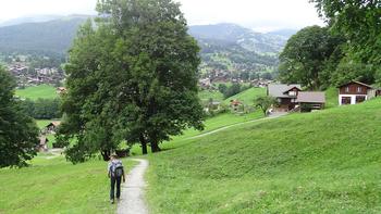 Weg zurück nach Grindelwald