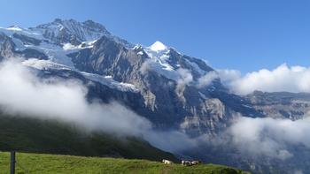 Jungfrau