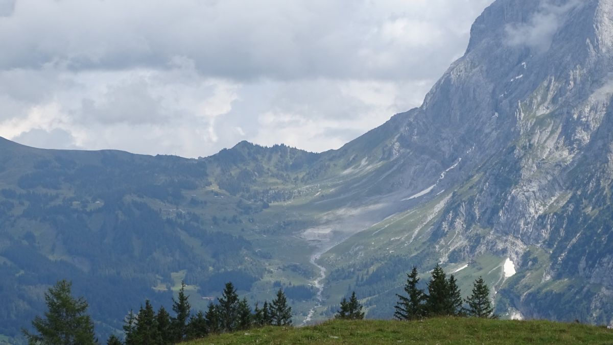 Große Scheidegg herangezoomt