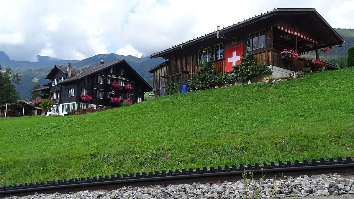 Zahnradstrecke der Wengernalpbahn von der Seite (die längste zusammenhängende Zahnradstrecke der Welt…)